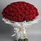 101 Красная роза Блэк Мэджик в Богучанах Букет 101 Красная роза Блэк Мэджик в Богучанах