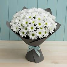 Букет цветов из:  Хризантемы #REPLACE_PRED# Богучанах