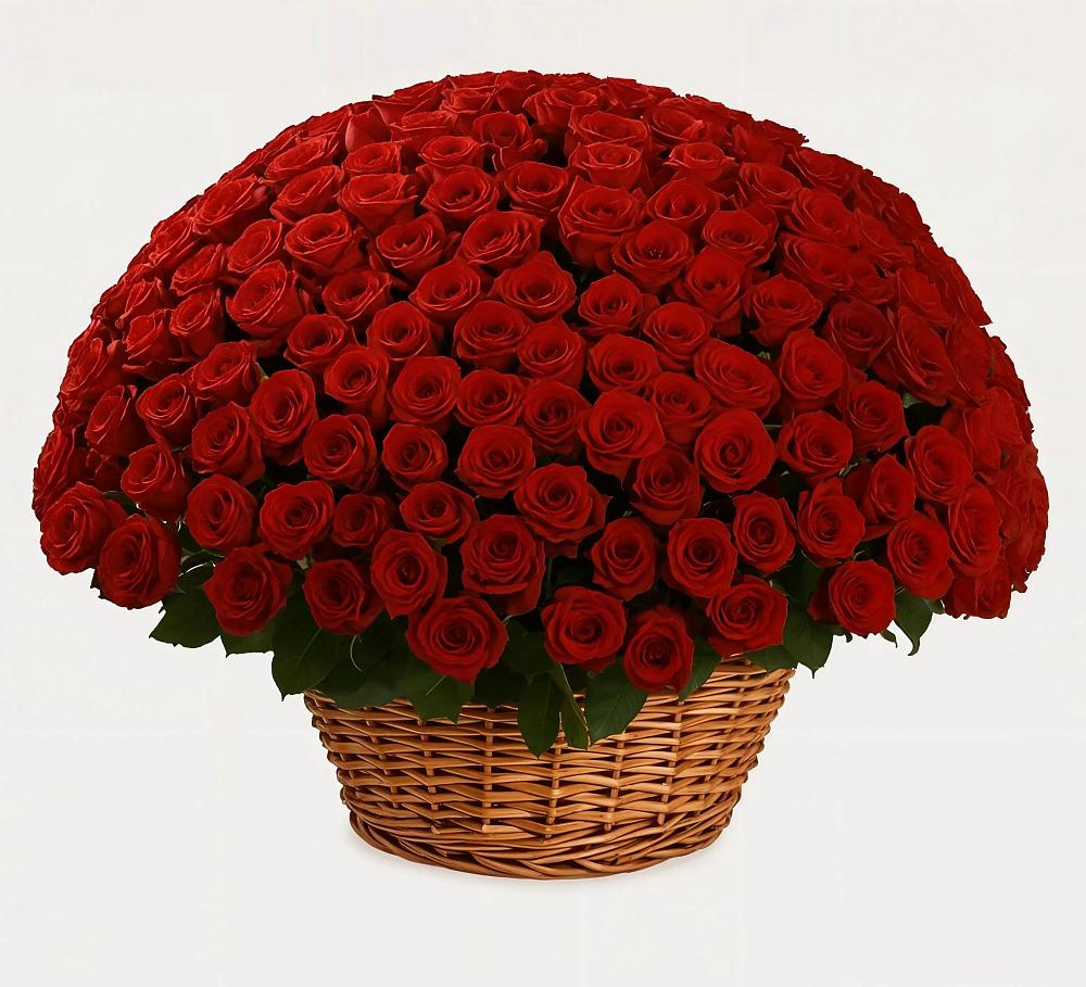 251 Премиум красная роза в Богучанах Премиум букет из: Розы в Богучанах