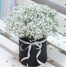 Цветочная композиция из Гипсофила в шляпной коробке #REPLACE_PRED# Богучанах